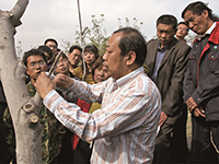 南海娱乐