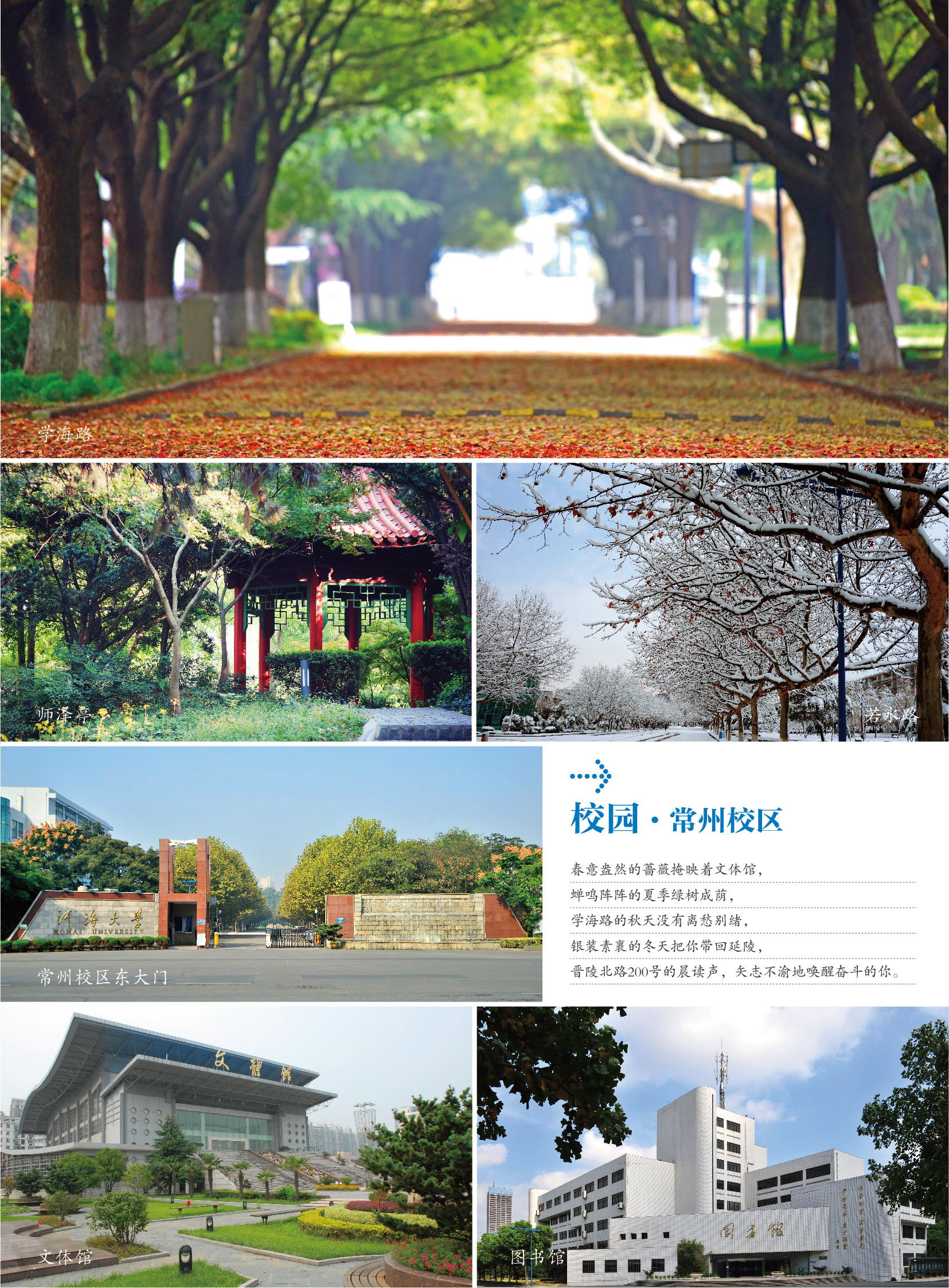 南海娱乐