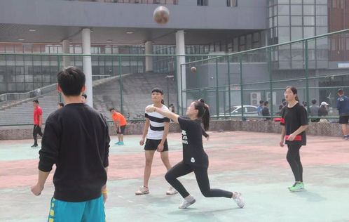 南海娱乐