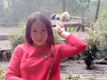 南海娱乐
