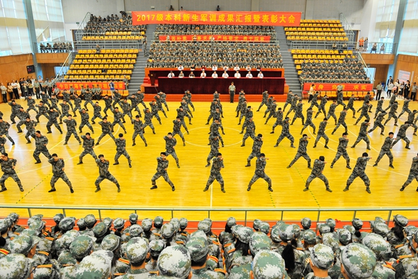 南海娱乐